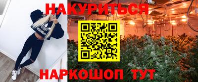 Альфа ПВП Владивосток