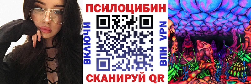 Галлюциногенные грибы Cubensis  где продают наркотики  Дзержинск 