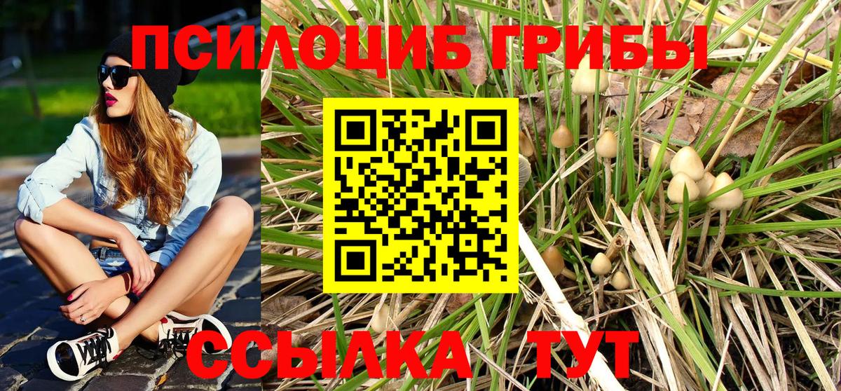 Галлюциногенные грибы Psilocybine cubensis Дзержинск