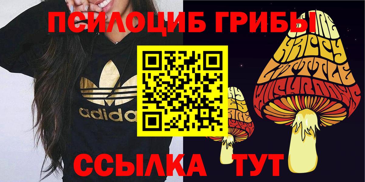 Галлюциногенные грибы Cubensis  купить наркоту  Псилоцибиновые грибы Psilocybe  Дзержинск  Вход с VPN 