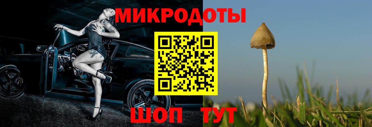 Псилоцибиновые грибы ЛСД Дзержинск