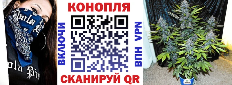 дарнет шоп  Дзержинск  Бошки марихуана OG Kush 